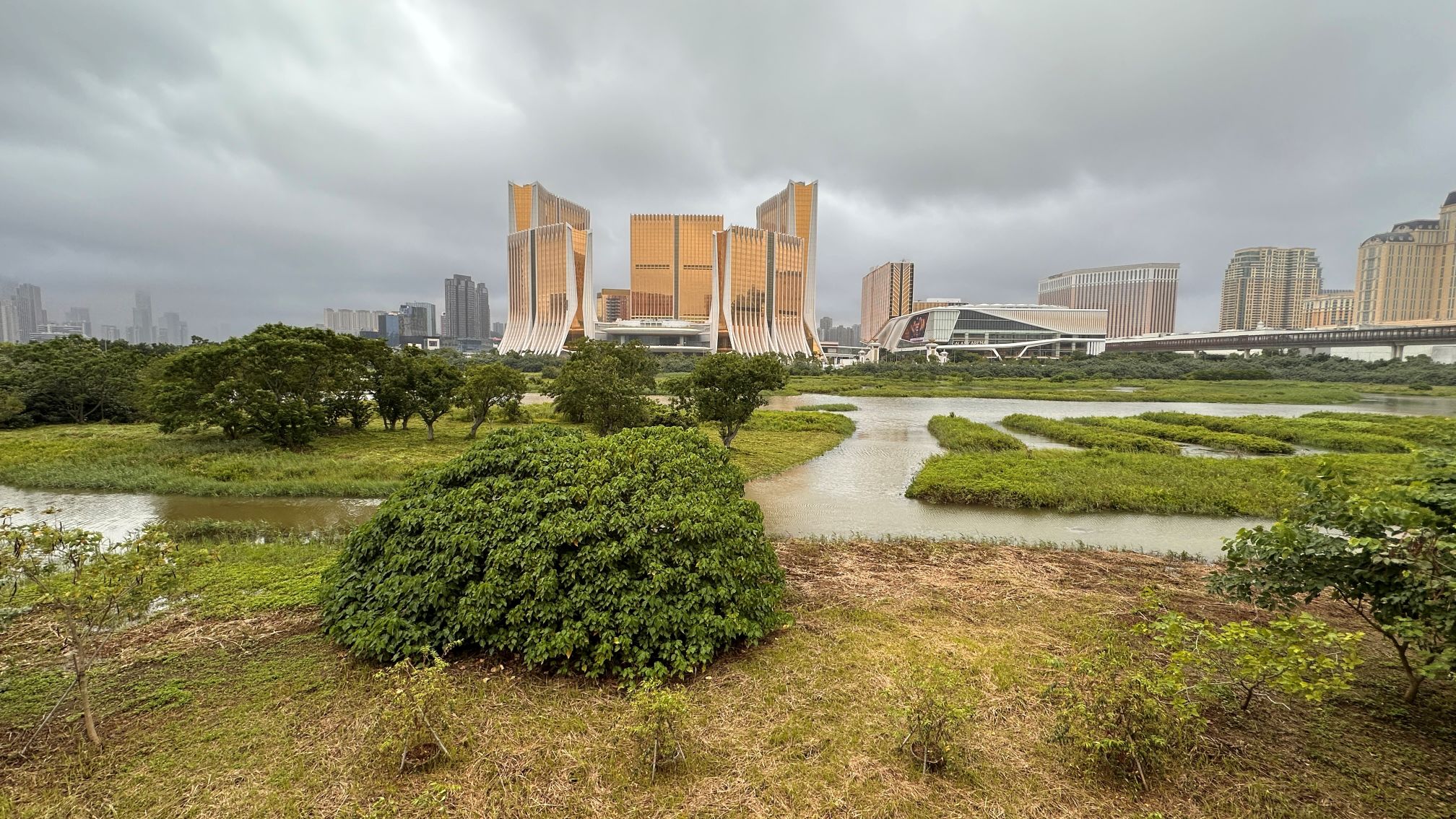 Cotai Ecological Zone 1, with casinos at the back