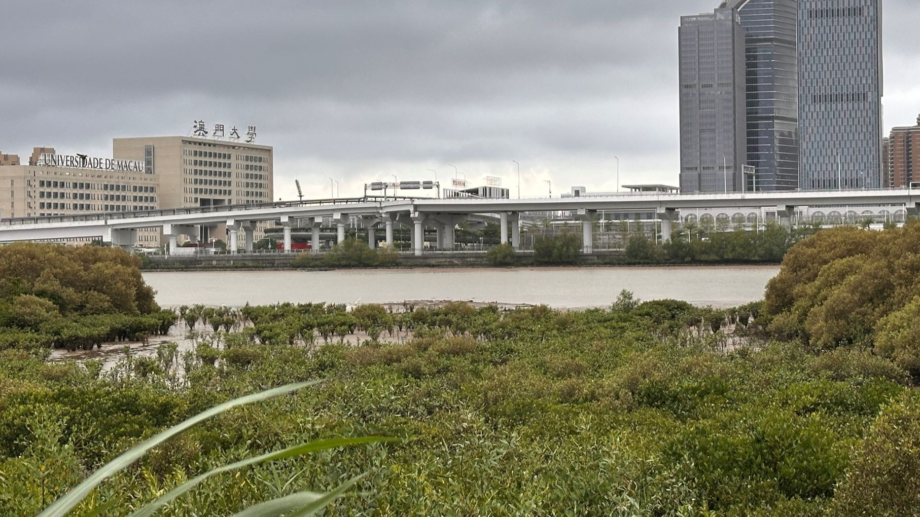 Cotai Ecological Zone 2, with rebuilt mangrove forest overlooking China