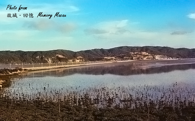 Mangrove wetland before Cotai was built. photo credit: MemoryMacau blog