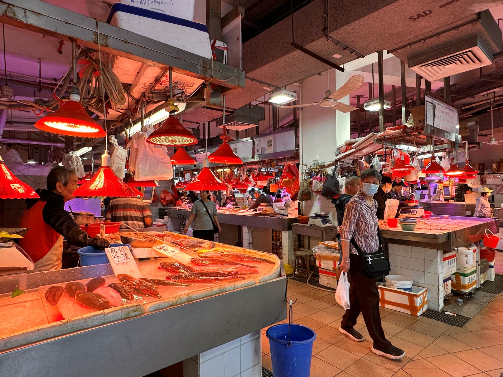 Live seafood stalls