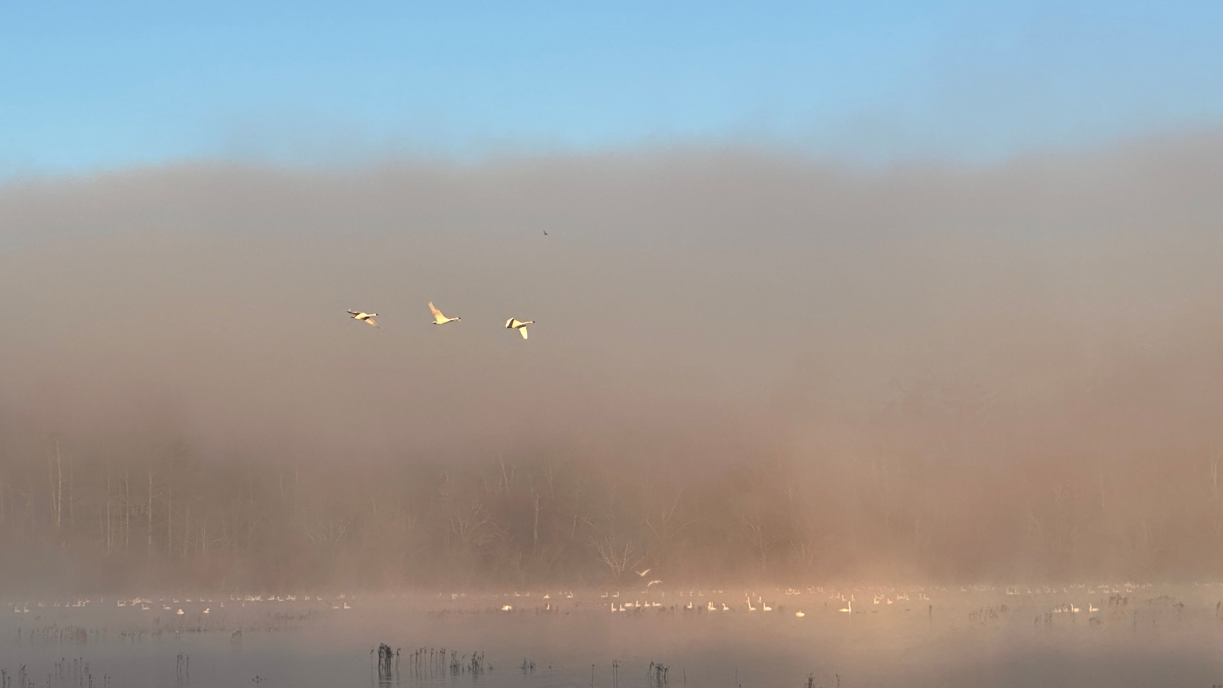 daybreak