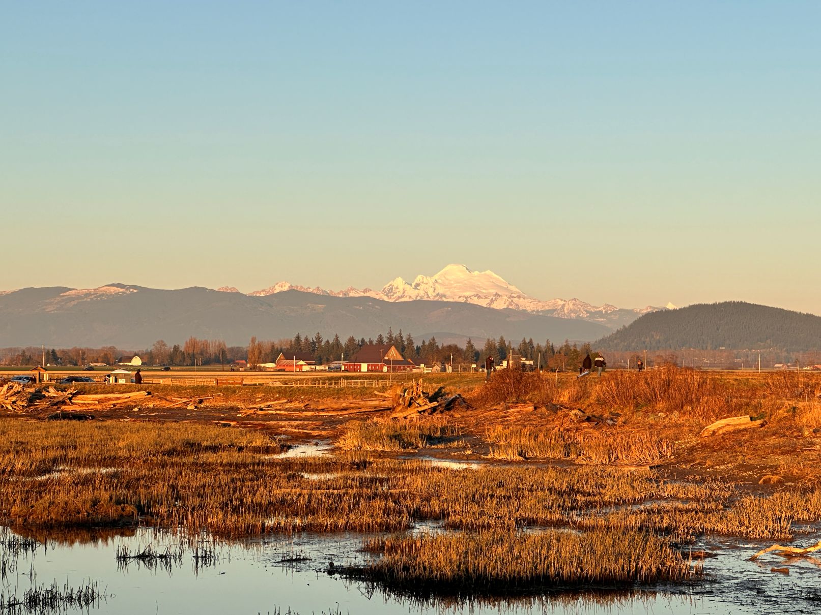 Mt. Baker