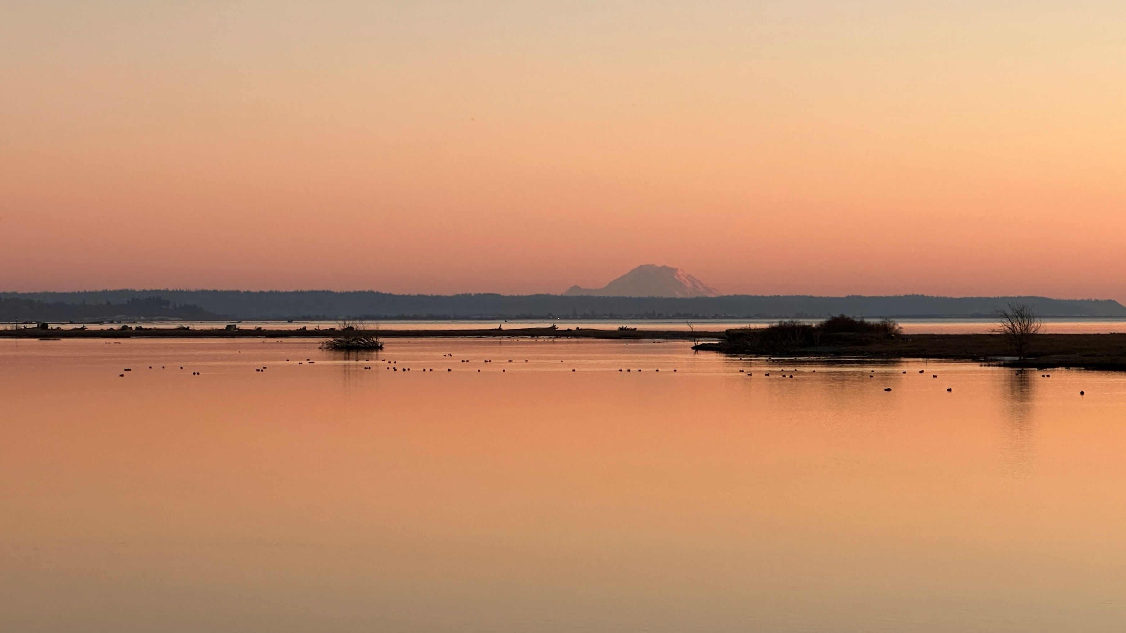 Mt. Rainier