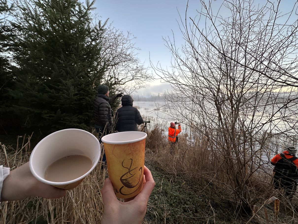 heart-warming hot tea